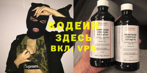хмурый Белокуриха