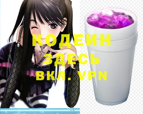 хмурый Белокуриха