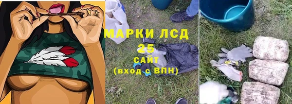 хмурый Белокуриха