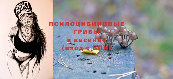 хмурый Белокуриха